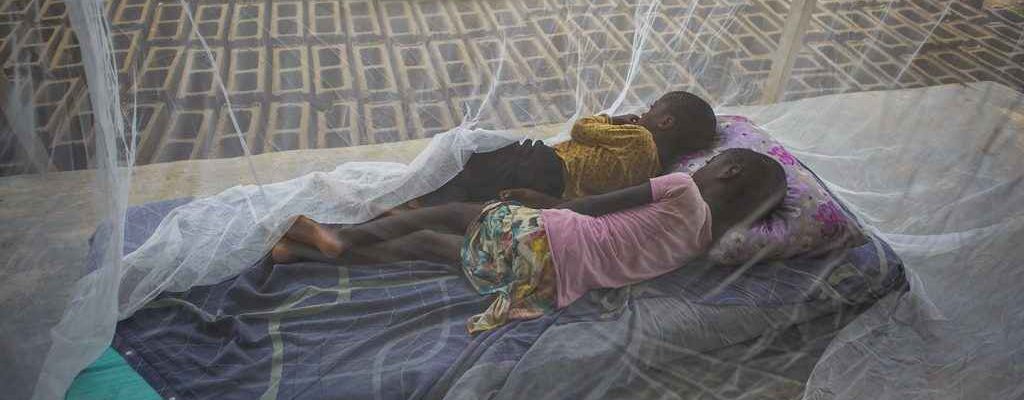 HACEY Health Initiative - Malaria